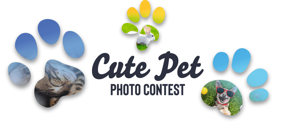 Cute Pet Contest 2022